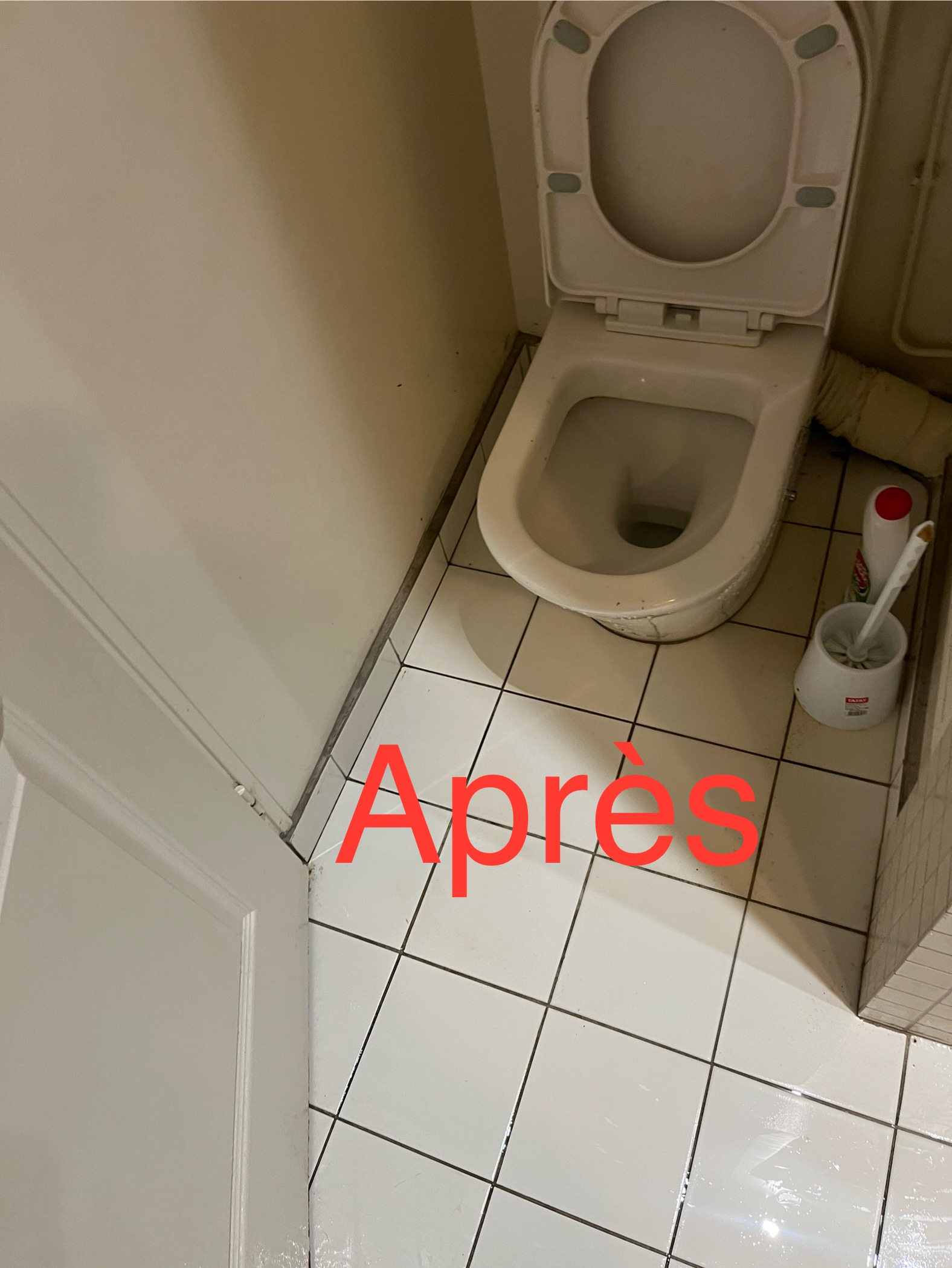 WC débouché propre après intervention MR DEGO assainissement 77
